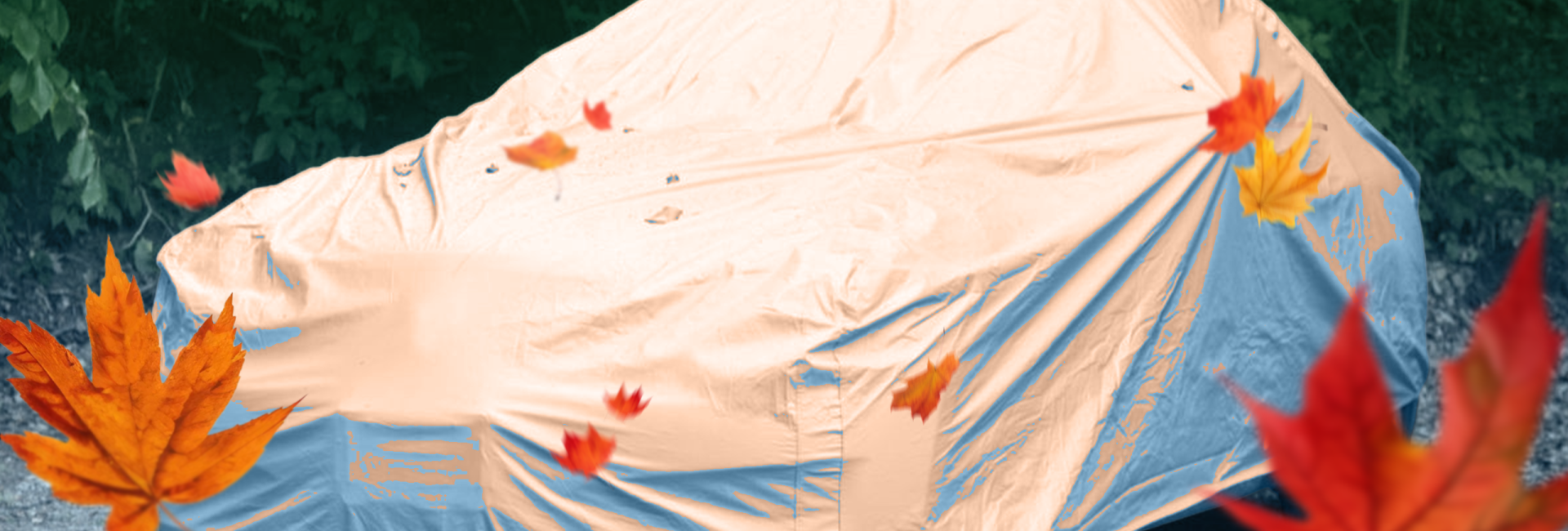Fall Is Here