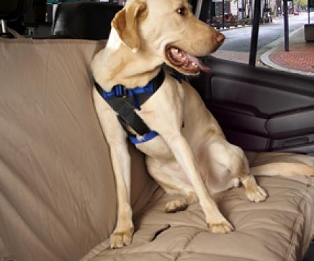 Canine Covers® Travel Safe Harness