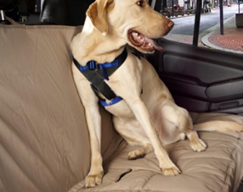 Canine Covers® Travel Safe Harness