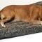 Canine Covers® The "Ultimate" Dog Bed
