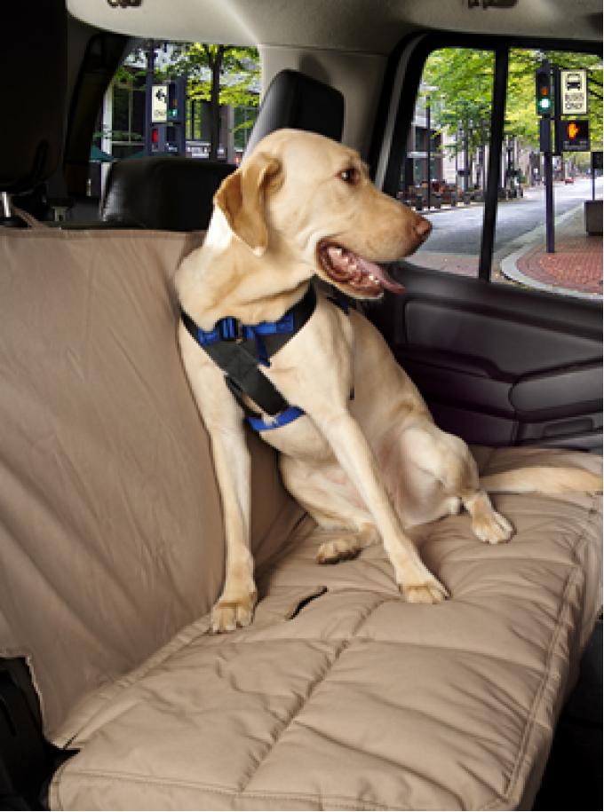 Canine Covers® Travel Safe Harness